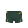 Szorty kąpielowe Arena Poseidonia Swim Short