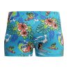 Kąpielówki  Speedo Lts Alv Short Im