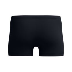 Spodenki kąpielowe męskie Speedo Medley Logo Asht Am