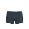 Szorty kąpielowe męskie Arena Basic Swim Short