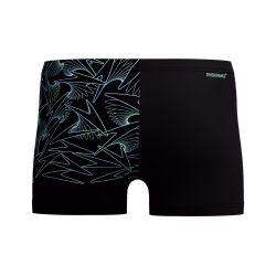 Spodenki kąpielowe męskie Speedo Hboom Vcut Asht