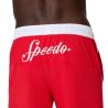 Spodenki plażowe męskie Speedo Solid Logo Volley 16''
