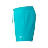 Spodenki plażowe męskie Speedo Essentials Watershort 16''