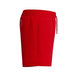 Spodenki męskie Speedo Classic Logo Volley 13''