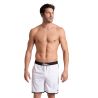 Spodenki Arena Icons Team Stripe Unisex Bermuda.