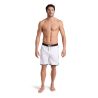 Spodenki Arena Icons Team Stripe Unisex Bermuda.